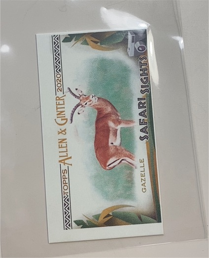 2020 Topps Allen & Ginter #SSC-4 Gazelle Safari Sights — front