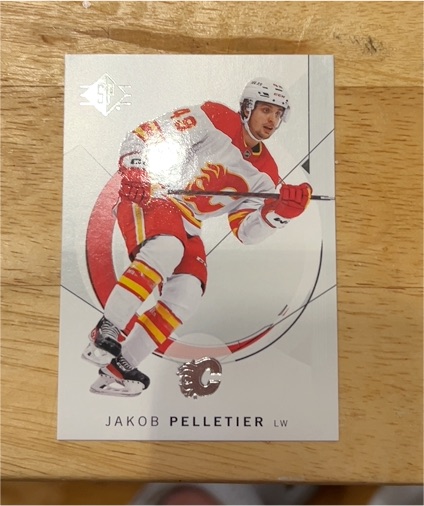 2024-25 Upper Deck SP Authentic #52 Jakob Pelletier — front