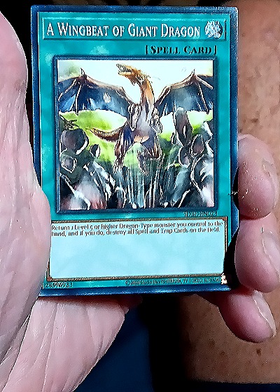 Yu-Gi-Oh! A Wingbeat of Giant Dragon SD10-EN023 — front