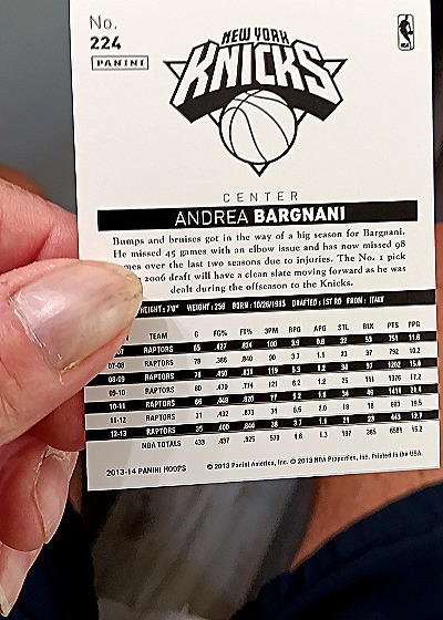 2013-14 Panini NBA Hoops #224 Andrea Bargnani — back