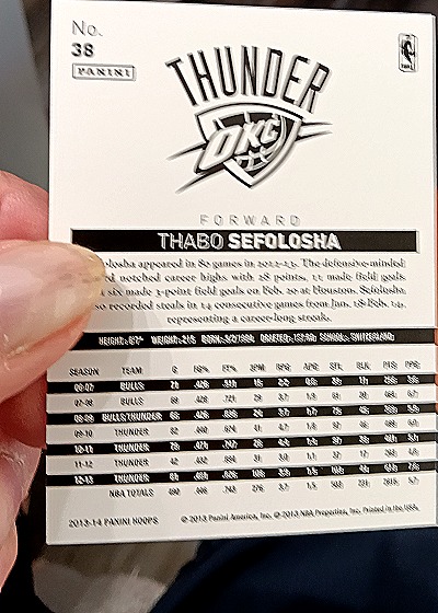 2013-14 Panini NBA Hoops #38 Thabo Sefolosha — back