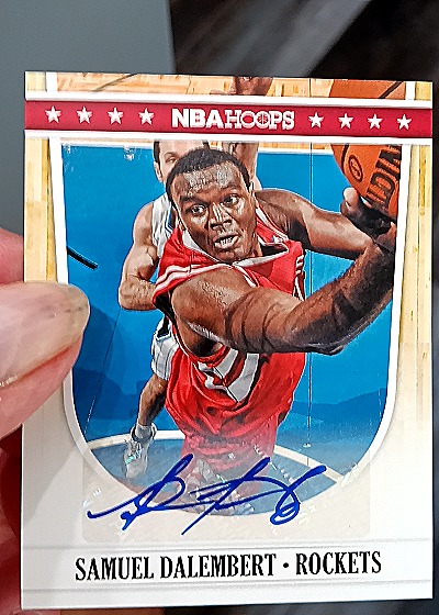 2011-12 Panini NBA Hoops #207 Samuel Dalembert — front