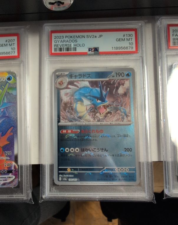 2023 Pokémon SV2a #130 Gyarados — front