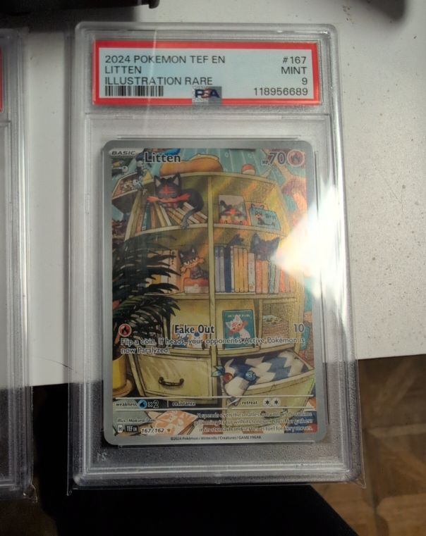 2024 Pokémon TEF #167 Litten Illustration Rare — front