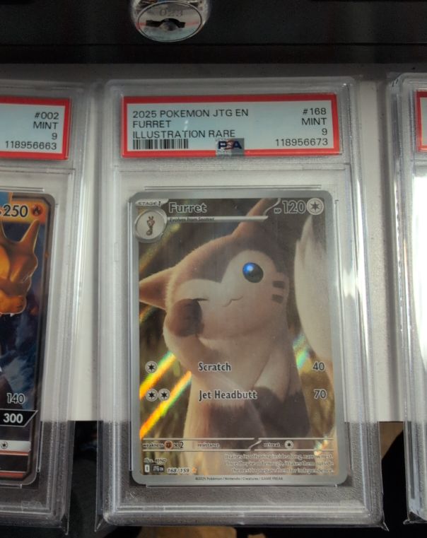 2025 Pokémon JTG #168 Furret Illustration Rare — front