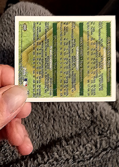 1993 Topps Allen & Ginter #41 Tim Salmon Carlos Guillen Darryl Strawberry Prospects — back