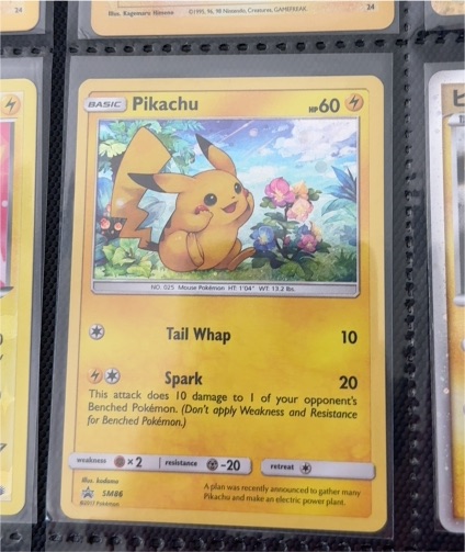 2017 Pokémon Sun & Moon Trainer Kit #14 Pikachu — front