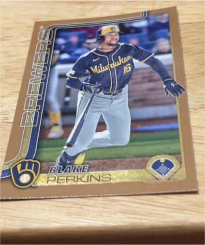 2025 Topps Series 1 #47 Blake Perkins — front