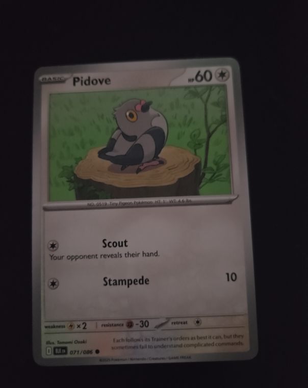 2023 Pokémon Scarlet & Violet #071 Pidove — front