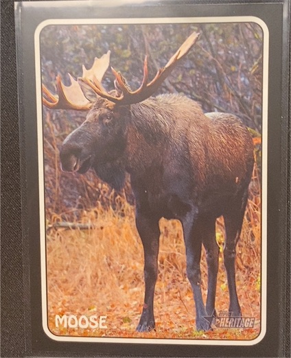 2024 Topps Heritage #75Z-15 Moose — front