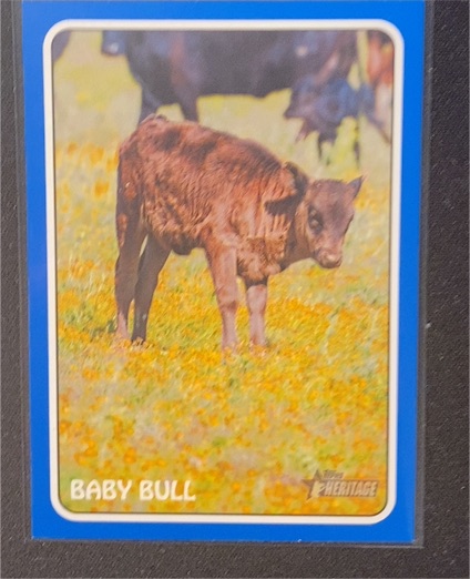 2024 Topps Heritage #75Z-19 Orlando Cepeda Baby Bull — front
