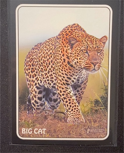 2024 Topps Heritage #75Z-20 Andres Galarraga Big Cat — front