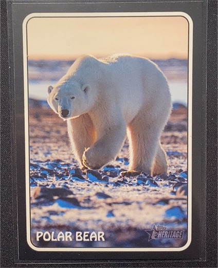 2024 Topps Heritage #75Z-9 Polar Bear Pete Alonso — front
