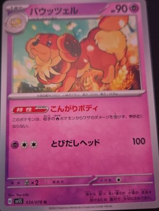 2023 Pokémon sv1s 034 Dachsbun Scarlet EX — front