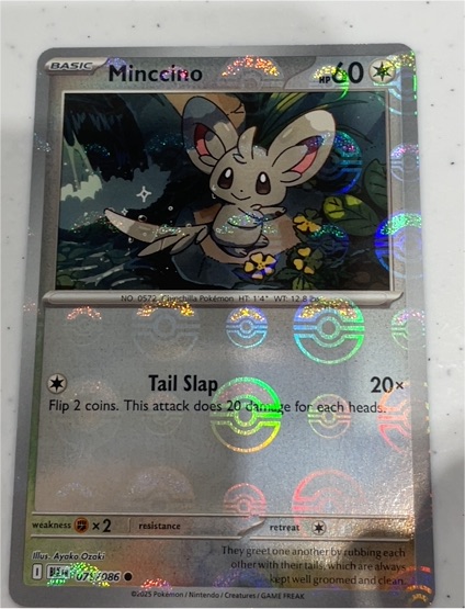 2025 Pokémon SV Black Bolt #075 Minccino — front