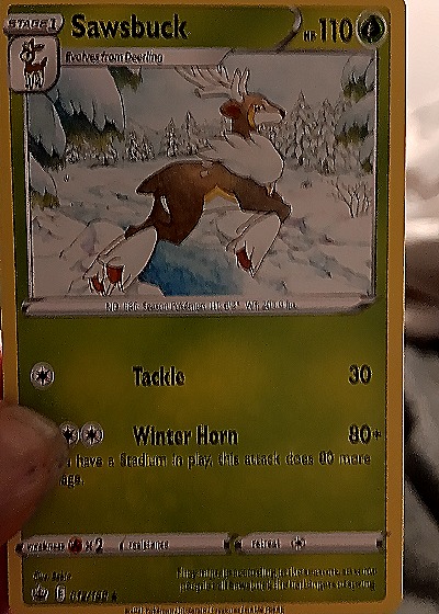 2021 Pokémon Sword & Shield Chilling Reign #12 Sawsbuck — front