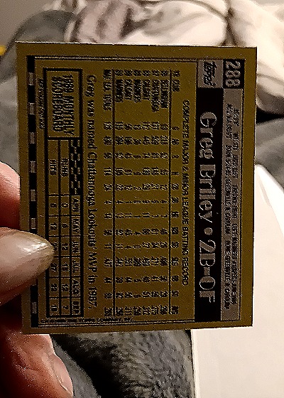 1990 Topps #288 Greg Briley — back
