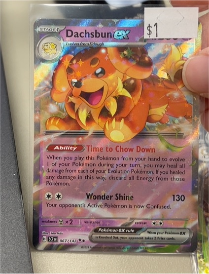 2024 Pokémon #067 Dachsbun ex — front