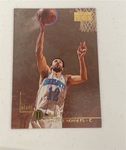 1996-97 SkyBox Premium #138 Vlade Divac — front