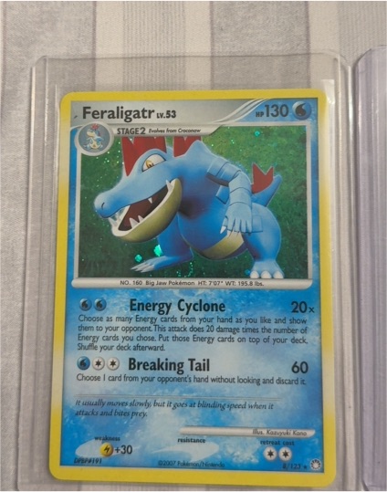 2007 Pokémon #8 Feraligatr — front