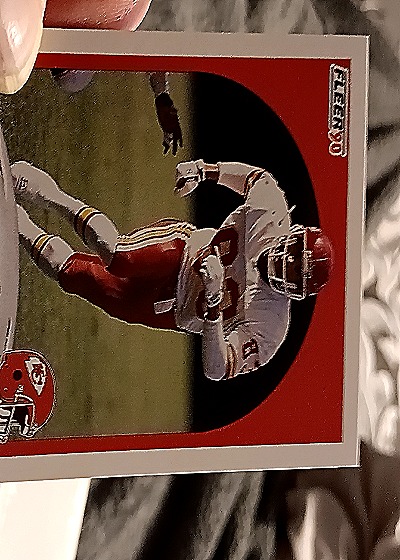 1989 Fleer #207 Stephone Paige — front