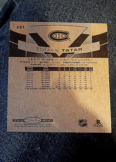 2019-20 O-Pee-Chee #391 Tomas Tatar — back