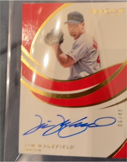 2019 Panini Immaculate Collection #06/49 Jim Wakefield — front