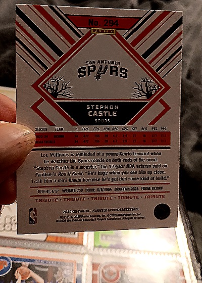 2024-25 Panini Haunted Hoops #294 Stephon Castle — back