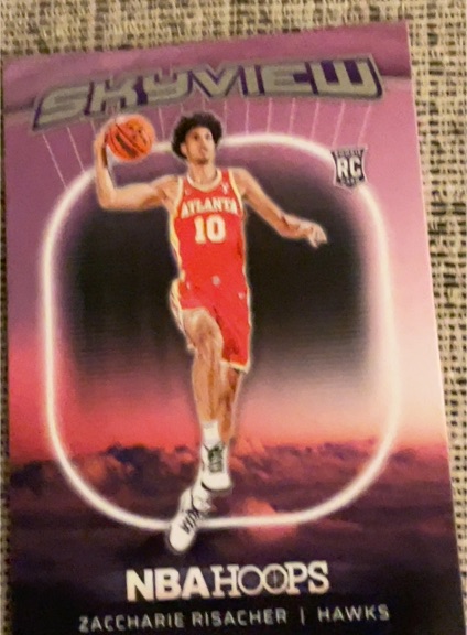 2024-25 Panini NBA Hoops Skyview #23 Zaccharie Risacher — front