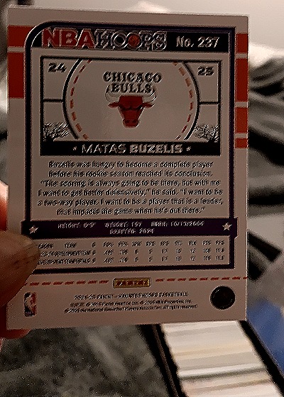 2024-25 Panini Haunted Hoops #237 Matas Buzelis — back