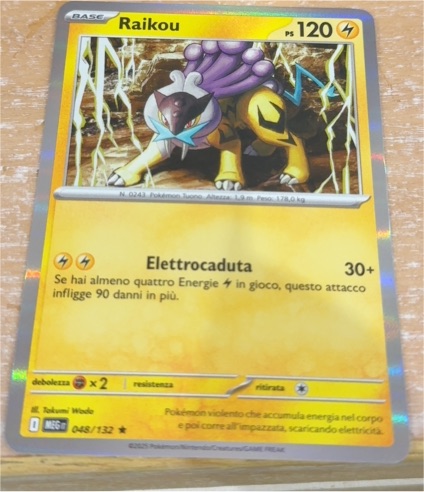 2015 Pokémon Mega Evolution #048 Raikou — front