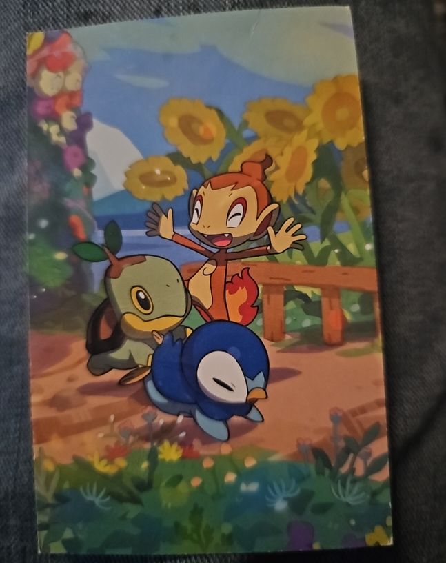 2010 Pokemon Bromides DX 036 Turtwig Chimchar Piplup — front