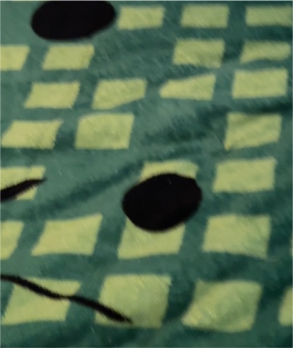 Green and Yellow Checkered Fabric with Black Dots — front