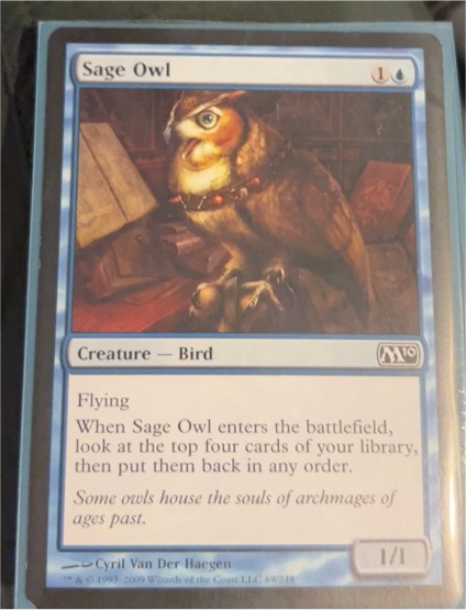 Magic 2010 (M10) #69 Sage Owl — front