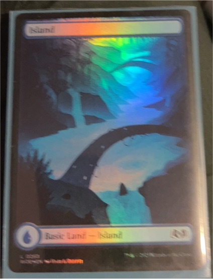 2020 Magic: The Gathering Wilds of Eldraine #263 Island — front