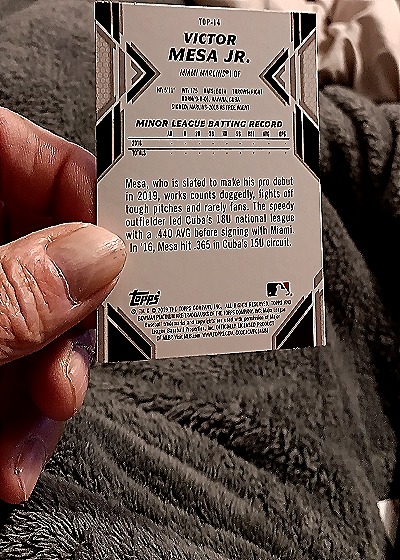 2019 Bowman Platinum #TOP-14 Victor Mesa Jr. — back