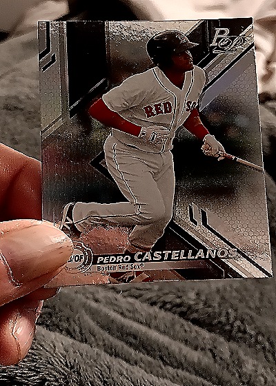 2011 Topps #TOP-67 Pedro Castellanos — front