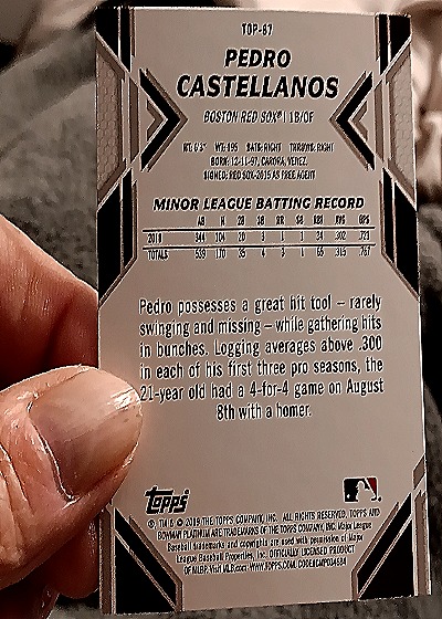 2011 Topps #TOP-67 Pedro Castellanos — back