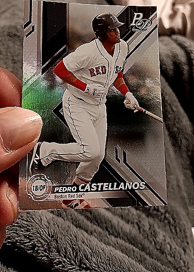 2023 Topps Pro Debut #TB/OF Pedro Castellanos — front