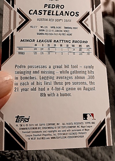 2023 Topps Pro Debut #TB/OF Pedro Castellanos — back
