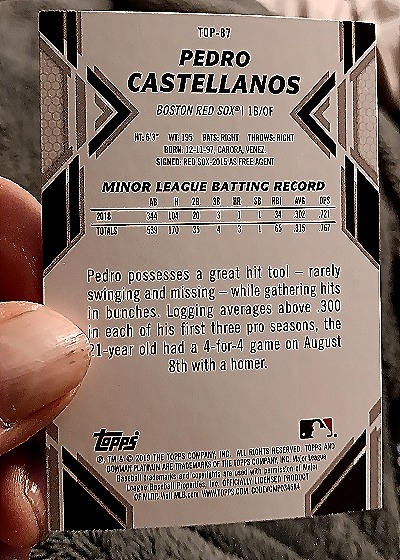 2022 Topps #T87 Pedro Castellanos — back