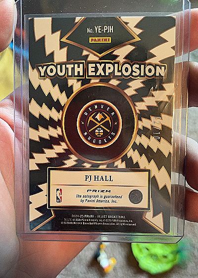 2024-25 Panini Select #YE-PJH PJ Hall — back