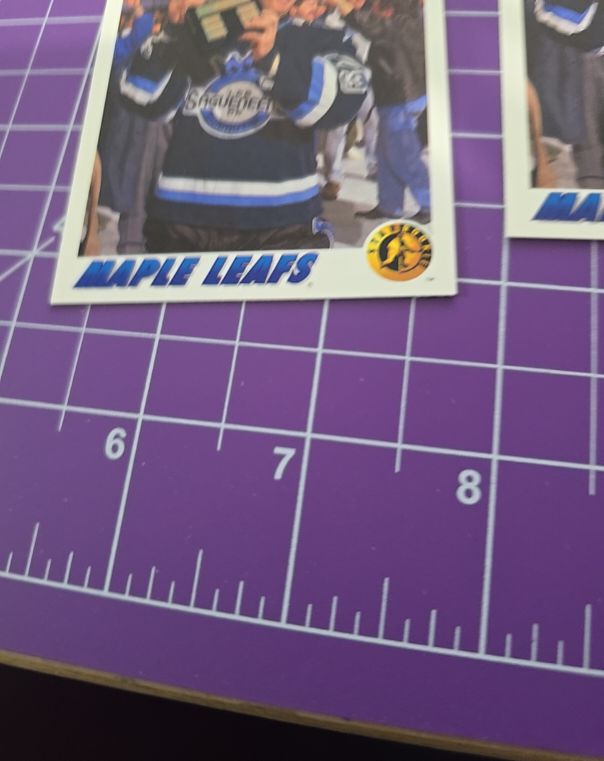 1991-92 Upper Deck #460 Felix Potvin — front