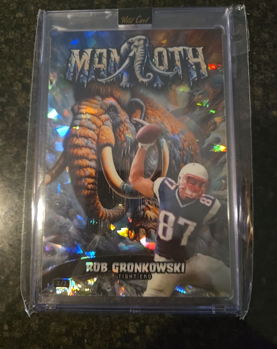 2024 Wild Card Mammoth #Rob Gronkowski — front