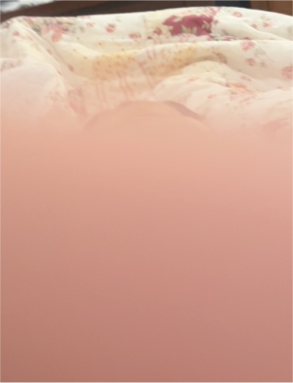 Inner Vision by Thor Castlebury Hardcover Book — front