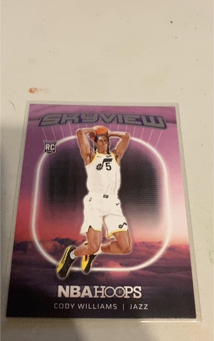 2024-25 Panini NBA Hoops #5 Cody Williams Skyview — front