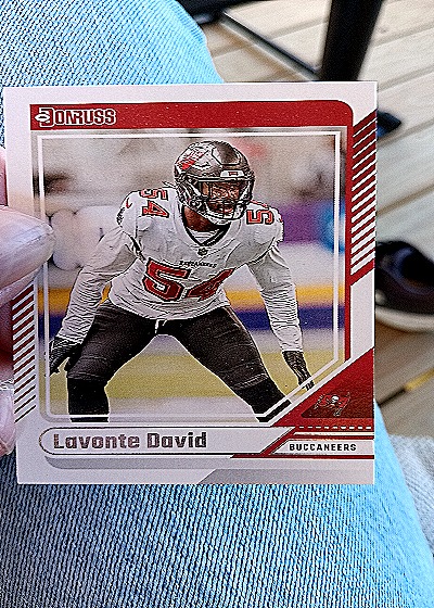 2024 Donruss #173 Lavonte David — front