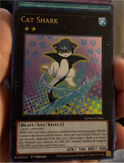 2020 Yu-Gi-Oh! MAMA-EN066 Cat Shark — front