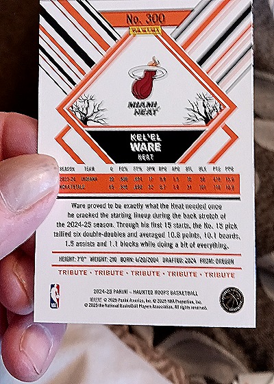 2024-25 Panini Haunted Hoops Tribute #300 Kel'el Ware — back