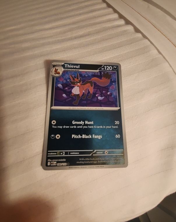 2024 Pokémon Scarlet & Violet #027 Thievul — front